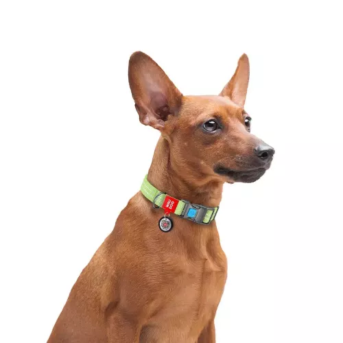 Collar WAUDOG Re-cotton Нашийник для собак з QR-паспортом 35-58 см/25 мм салатовий (C02945) - фото №3