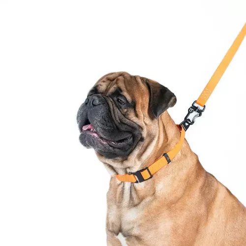 Collar Еволютор Повідець для собак 300 м/25 мм оранжевий (С42134) - фото №2