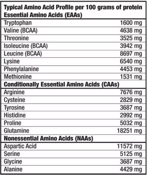 Амінокислота Biotech Mega Amino 100 таблеток (5999076238750) - фото №2