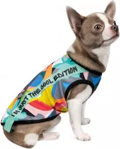 Борцовка для собак Pet Fashion "Cool" M Разноцветная (4823082420193)
