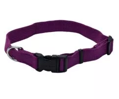 Ошейник для собак фиолетовый New Earth Soy Dog дл. 30-45 см - ш. 2 см Coastal (BGL-CS-594)