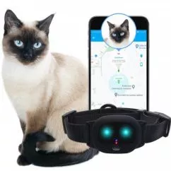 Нашийник для кота MYOX MPT з Wi-Fi, з GPS Чорний (21344)