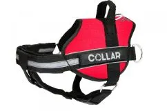 Collar DogExtremе Police №4 Шлейка для собак із ліхтариком зі змінним написом 75-100 см червона (070