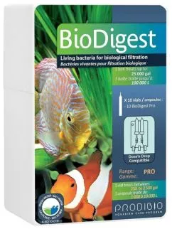 Prodibio BioDigest Pro Бактерии 10 ампул