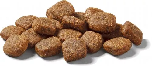 Nutram T26 2 kg беззерновой со вкусом ягненка сухой корм для собак - фото №2