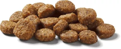 Nutram T29 2 kg беззерновий зі смаком ягняти сухий корм для собак - фото №2