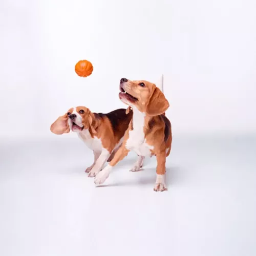 Игрушка для собак Collar Мяч «Liker 7» (Лайкер) d=7 см (вспененный полимер) (6294) - фото №5