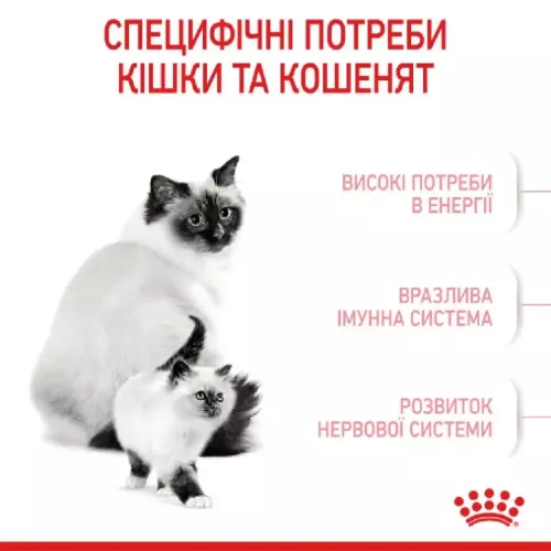 Сухой корм для котят Royal Canin Mother & Babycat 2 кг (домашняя птица) (2544020) - фото №3