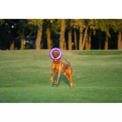 Іграшка для собак Collar Тренувальний снаряд «Puller Maxi» (Пуллер) d=30 см, 1 шт. (спінений полімер) (6492) - фото №5