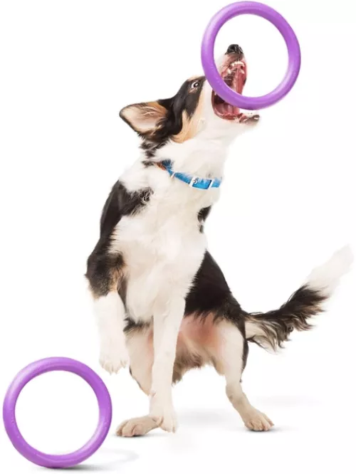 Іграшка для собак Collar Тренувальний снаряд «Puller Midi» (Пуллер) d=20 см, 2 шт. (спінений полімер) (6488) - фото №5