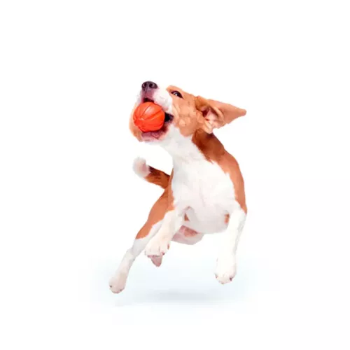 Игрушка для собак Collar Мяч «Liker 7» (Лайкер) d=7 см (вспененный полимер) (6294) - фото №4
