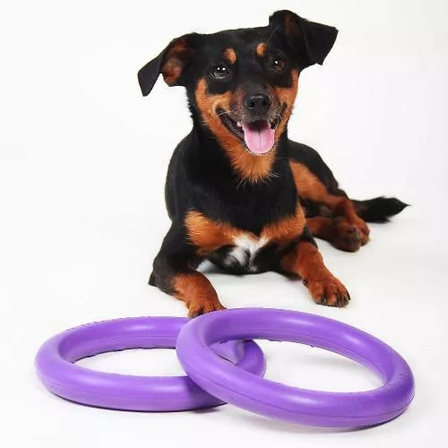 Іграшка для собак Collar Тренувальний снаряд «Puller Mini» (Пуллер) d=18 см, 2 шт. (спінений полімер) (6491) - фото №3