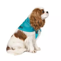 Бандана Pet Fashion «Weekend» для собак, розмір M-XL, блакитна