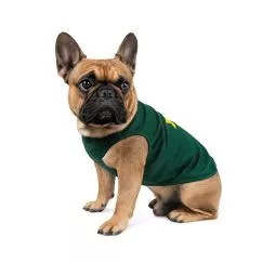 Борцівка Pet Fashion «Sun Please» для собак, розмір S2, зелена