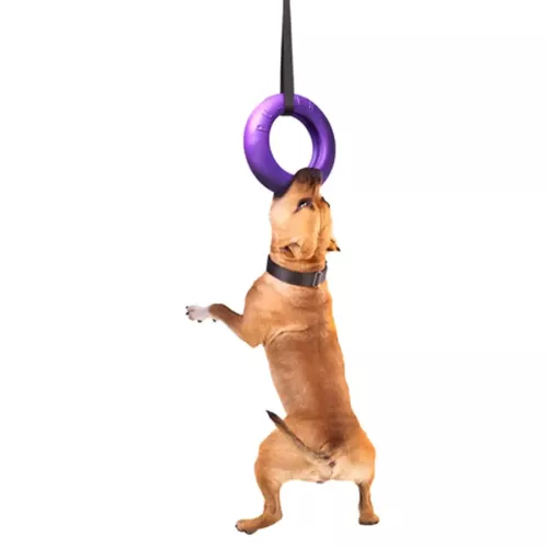 Игрушка для собак Collar Тренировочный снаряд Puller Maxi (Пуллер) d=30 см, 1 шт. (вспененный полимер) (6492) - фото №3