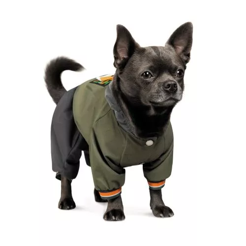 Дождевик Pet Fashion «Jimi» для собак, размер M, зеленый (лимитированная серия) - фото №2