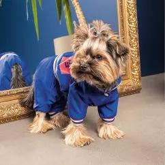 Дождевик Pet Fashion «Silver» для собак, размер L, синий (PR242995)