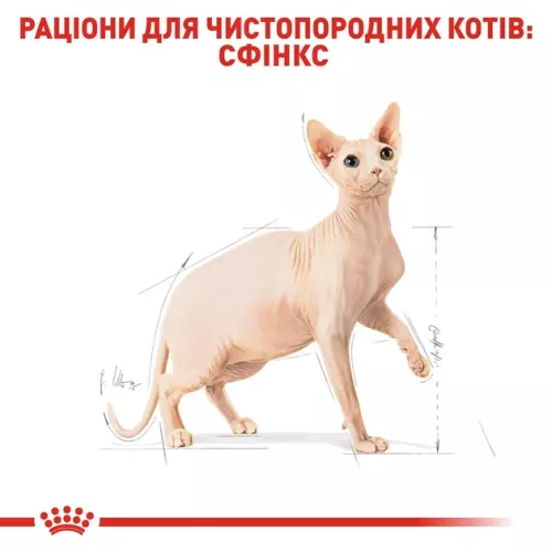Сухий корм для котів Royal Canin Sphynx Adult 2 кг (домашня птиця) (2556020) - фото №4