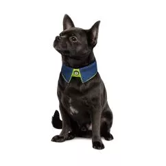 Воротник Pet Fashion «Bright» для собак, размер S-М, синий