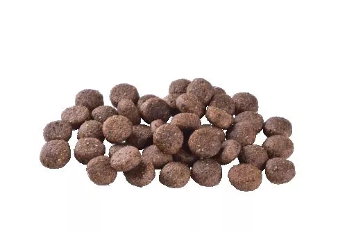 Сухой корм Brit Care Dog Grain-free Adult для собак малых и средних пород, беззерновой с лососем, 1 кг (172196) - фото №2