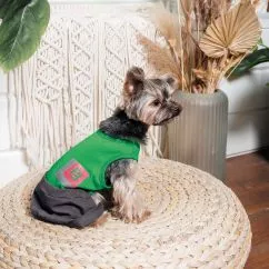 Костюм Pet Fashion «Aleks» для собак, розмір M, зелений