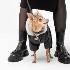 Pet Fashion Black Костюм для собак черный XXS