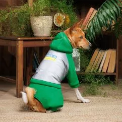 Костюм Pet Fashion «Leaf» для собак, размер L, зеленый (лимитированная серия)