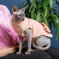 Светр Pet Fashion «Cat» для кота, розмір L, персик (PR242970)