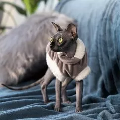 Светр Pet Fashion «Tom» для кота, розмір M, капучіно (PR242948)