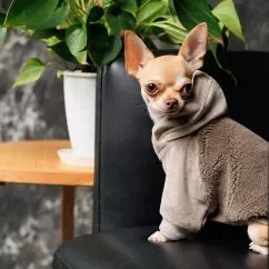 Свитер Pet Fashion «Nick» для собак, размер L, мокко (лимитированная серия)