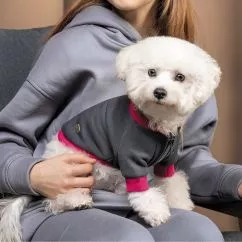 Толстовка Pet Fashion «Bim» для собак, размер XS2, серая (PR243029)