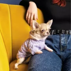 Толстовка Pet Fashion «Delicate» для собак, размер S, лиловая