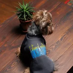 Толстовка Pet Fashion "I stand with" для собак, розмір M, сіра
