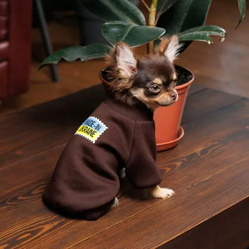 Толстовка Pet Fashion Made in Ukraine для собак, размер XS2, шоколадный - фото №3