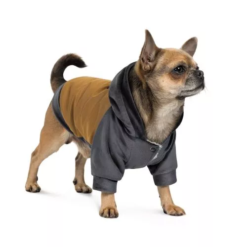 Толстовка Pet Fashion «Rollie» для собак, размер M, бежевая/серая (лимитированная серия) - фото №2