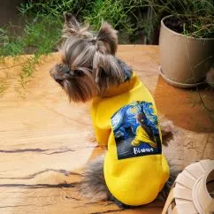 Толстовка Pet Fashion "Вiльна" для собак, розмір M, жовта