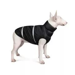 Жилет Pet Fashion «Big Boss» для собак, розмір 3XL, чорний (PR242397)
