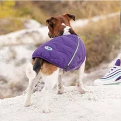 Жилет Pet Fashion «E.Vest» для собак, розмір M, фіолетовий (PR242423)