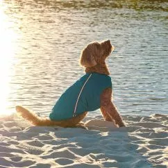 Жилет Pet Fashion «E.Vest» для собак, розмір M, морська хвиля (PR242415)