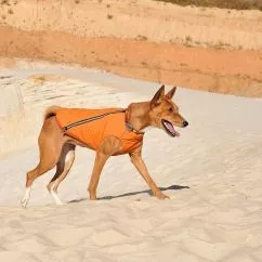 Жилет Pet Fashion «E.Vest» для собак, розмір S, помаранчевий (PR242429)