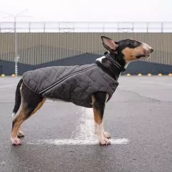 Жилет Pet Fashion «E.Vest» для собак, розмір S, сірий (PR242437)