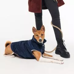 Жилет Pet Fashion «Lucky» для собак, розмір XS, синій
