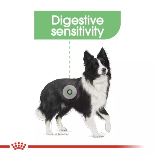Royal Canin Medium Digestive Care 3 kg (домашній птах) сухий корм для собак середніх порід з чутливи - фото №3