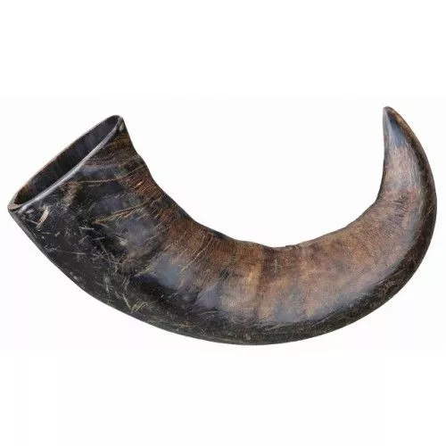Buffalo Chewing HornTrixie ріг буйвола середній ласощі для собак - фото №2