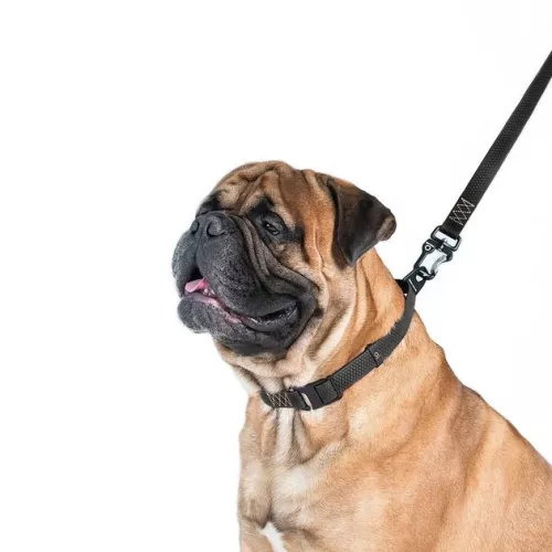 Collar Еволютор Повідець для собак 300 м/25 мм чорний (С42131) - фото №2