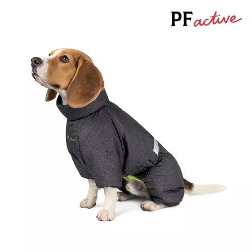 Pet Fashion Cold Комбинезон для собак серый XS (PR242624) - фото №4