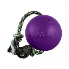 Іграшка для собак Давай грати ROMP-N-ROLL 16 см фіолетовий Jolly Pets (606PRP)