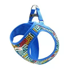 Шлея для собак Misoko&Co, blue-multicolor, S (DCAMIS306M-S)