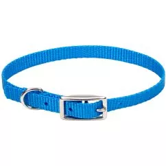 Нашийник Coastal Nylon Web для собак, 1х25 см , Блакитна лагуна (00301_BLL10)
