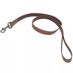 Поводок Coastal Rustic кожаный для собак, 2,5 см Х1, 2м, Шоколадный (03048_CHL04)